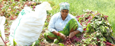 Ücret Eşitsizliği